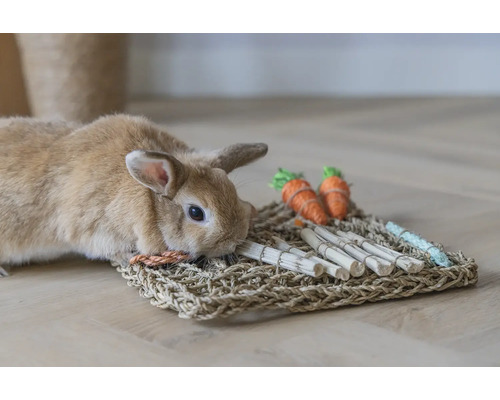 Kaninchen an einer Aktivitätsmatte für Kleintiere aus Naturmaterialien mit Holzstäben und Karottenspielzeug.