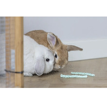 Ein weißes und ein braunes Zwergkaninchen sitzen neben geflochtenen Sisal-Knabberstangen auf hellem Boden.