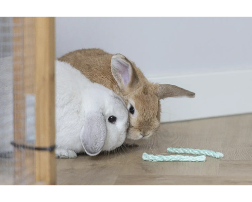 Ein weißes und ein braunes Zwergkaninchen sitzen neben geflochtenen Sisal-Knabberstangen auf hellem Boden.