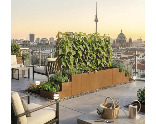 Moderner Dachgarten mit mehrstufigem Pflanzkasten aus Cortenstahl, einer Weinrebe am Rankgitter und Stadtpanorama von Berlin bei Sonnenuntergang.