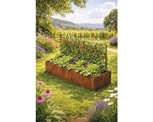 Rechteckiges Hochbeet aus Cortenstahl mit integrierter Rankhilfe, bepflanzt mit Salat und Kletterpflanzen in einem sonnigen Garten.