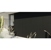 Moderne Hausfassade mit schwarzer vertikaler Wandverkleidung und einer Glastür in minimalistischem Design.