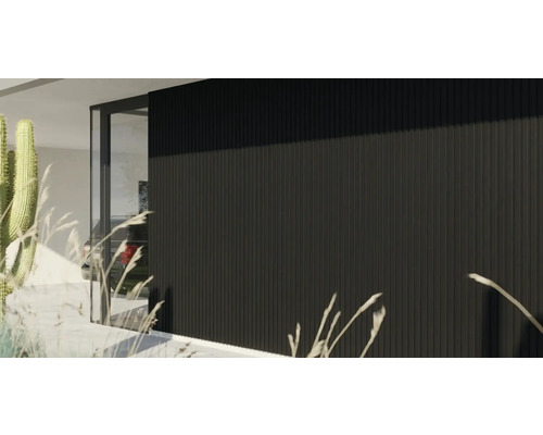 Moderne Hausfassade mit schwarzer vertikaler Wandverkleidung und einer Glastür in minimalistischem Design.