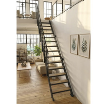 Moderne geradläufige Treppe mit schwarzem Metallrahmen und Holzstufen in einem hellen Wohnzimmer mit Parkettboden.