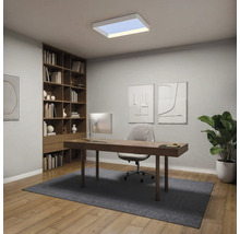 Modernes, helles Arbeitszimmer mit rechteckiger LED-Deckenleuchte, Holzschreibtisch, grauem Bürostuhl, großem Holzregal und einer Zimmerpflanze.