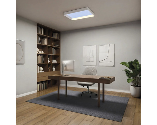 Modernes, helles Arbeitszimmer mit rechteckiger LED-Deckenleuchte, Holzschreibtisch, grauem Bürostuhl, großem Holzregal und einer Zimmerpflanze.