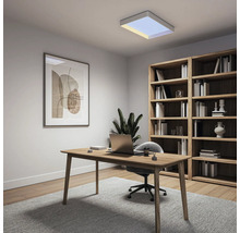 Helles Homeoffice mit Holzschreibtisch, Bürostuhl, grossem Holzregal und quadratischer Deckenleuchte.