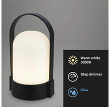 Lampe d'extérieur portable avec poignée, lumière blanc chaud 3000 Kelvin, variateur à paliers et indice de protection IP44.