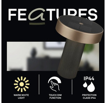 Lampe de table avec fonctions : lumière blanc chaud, gradation tactile et indice de protection IP44.