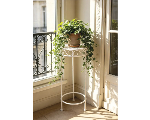 Hoher weißer Blumenhocker aus Metall mit runder Abstellfläche und Ornamenten, dekoriert mit einer Efeupflanze in einem hellen Raum.