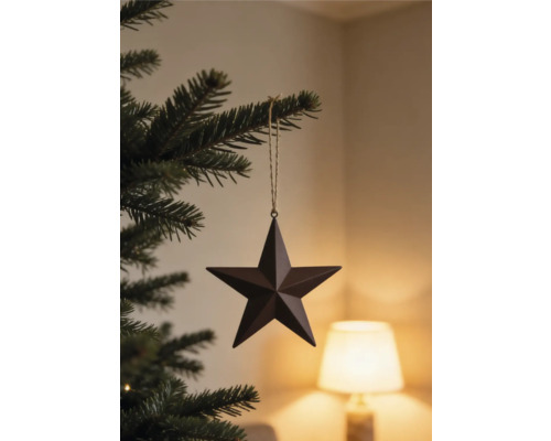 Weihnachtsbaumanhänger Sternform aus Metall an Tannenzweig.