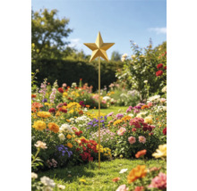 Goldfarbener Gartenstab aus Metall mit fünfzackigem Stern in einem hellen, bunten Blumengarten mit Rosen und weiteren Pflanzen.