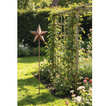 Gartenstecker Stern aus Metall in Rost-Optik in einem hellen Garten neben einem Holz-Rankgitter mit Kletterpflanzen und Blumenbeet.