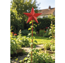 Roter Gartenstecker in Sternform aus Metall als Rankhilfe für Efeu in einem sonnigen Garten.