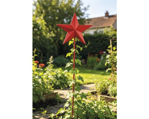 Roter Gartenstecker in Sternform aus Metall als Rankhilfe für Efeu in einem sonnigen Garten.