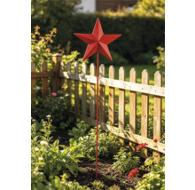 Roter Gartenstecker in Sternform aus Metall in einem Blumenbeet vor einem hölzernen Lattenzaun.