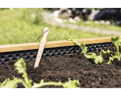 Plantoir en bois avec graduation en pouces et boucle en cuir dans un carré potager avec de la terre et des jeunes plants de salade.