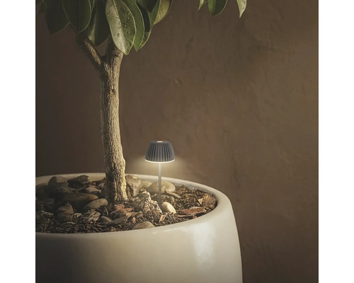 Kleine dekorative LED-Pflanzenleuchte in einem weissen Blumentopf neben einem kleinen Baumstamm.