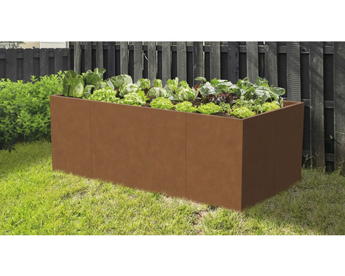 Potager surélevé rectangulaire aspect rouille dans un jardin planté de salades et de choux devant une clôture.