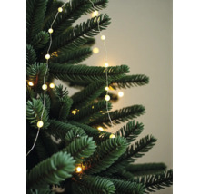 LED-Lichterkette mit kleinen warmweißen Lämpchen an einem grünen Weihnachtsbaumzweig.