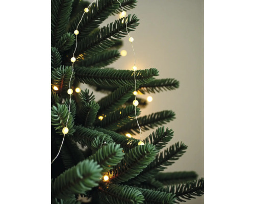 LED-Lichterkette mit kleinen warmweißen Lämpchen an einem grünen Weihnachtsbaumzweig.