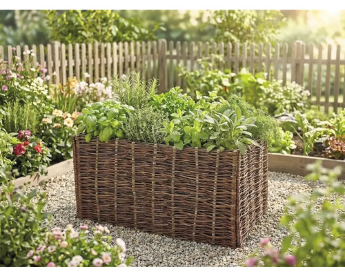 Jardinière surélevée en osier tressé avec diverses herbes aromatiques dans un jardin lumineux.