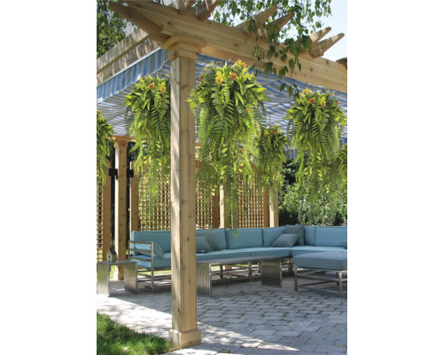 Helle Terrasse mit Holzpergola, hängenden Farnen, blau-weiß gestreifter Markise und hellblauer Ecklounge auf gepflastertem Boden.
