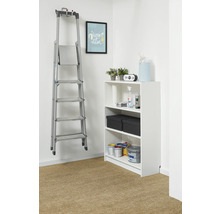 Rangement organisé avec une étagère blanche et un escabeau en aluminium suspendu au mur. L'étagère contient de la peinture et des boîtes.