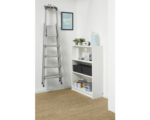 Rangement organisé avec une étagère blanche et un escabeau en aluminium suspendu au mur. L'étagère contient de la peinture et des boîtes.