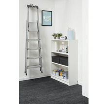 Rangement organisé avec une étagère blanche et un escabeau en aluminium au mur, avec des pots de peinture et des boîtes de rangement.