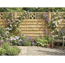 Clôture de jardin en bois avec treillis, couverte de rosiers grimpants et clématites, massif de fleurs avec hortensias, lavande et chaise en bois.