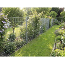 Doppelstabmattenzaun aus Metall in einem hellen Garten, umrankt von Kletterpflanzen wie Clematis und Rosen neben einer Rasenfläche.