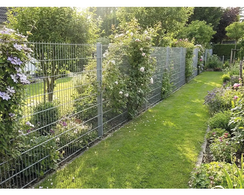 Doppelstabmattenzaun aus Metall in einem hellen Garten, umrankt von Kletterpflanzen wie Clematis und Rosen neben einer Rasenfläche.