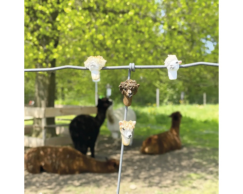 Zaunfiguren in Alpaka-Form an einem Drahtzaun vor einer Weide mit echten Alpakas.