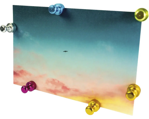 Kleine runde Metallmagnete in verschiedenen Farben, die ein Bild halten.