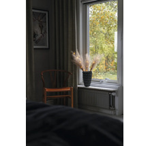 Ambiance intérieure avec chaise en bois et décoration de rebord de fenêtre en herbe de la pampa dans un vase texturé avec guirlande.