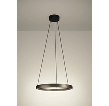 LED-Pendelleuchte in Ringform aus schwarzem Metall mit drei Seilaufhängungen.
