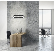 Suspension LED moderne en forme d'anneau au-dessus d'un bureau en bois dans un bureau lumineux et organisé avec mur en béton.