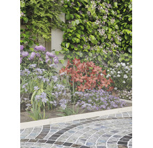 Parterre de jardin avec un treillis métallique à mailles fines pour protéger les lys et d'autres plantes à côté d'une allée pavée.