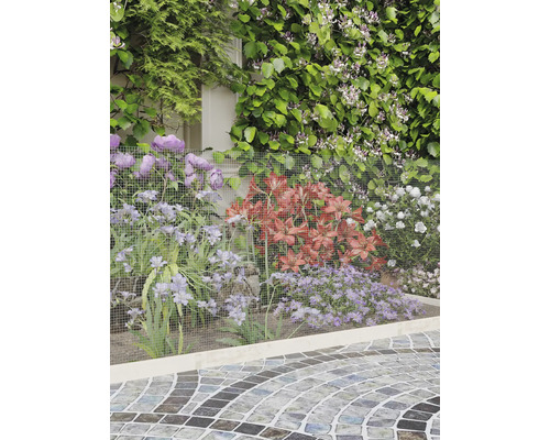 Parterre de jardin avec un treillis métallique à mailles fines pour protéger les lys et d'autres plantes à côté d'une allée pavée.