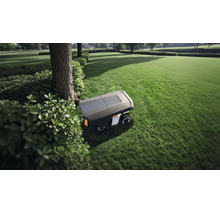 Robot tondeuse sur une grande pelouse bien entretenue à côté d'un arbre et de buissons dans un jardin lumineux.