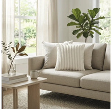 Helles Wohnzimmer mit beigem Stoffsofa, weissem Cord-Zierkissen und Holz-Beistelltisch. Grosse Zimmerpflanze und Fenster im Hintergrund.