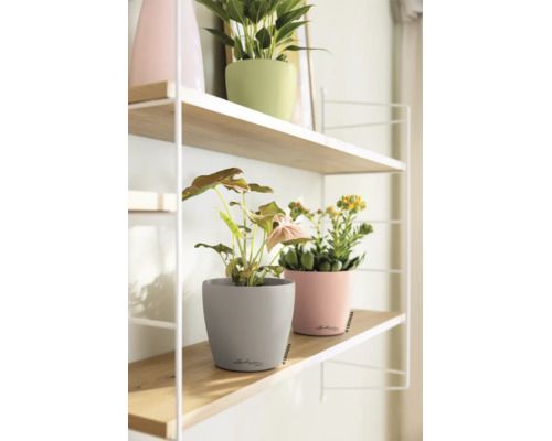 Pots de fleurs Lechuza avec plantes d intérieur et Lechuza Logo sur des étagères en bois avec un cadre métallique blanc.
