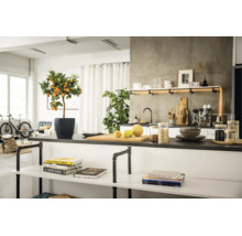 Cuisine lumineuse de style industriel avec îlot, citronnier en pot, étagères en tubes métalliques, bocaux en verre et machine à café.