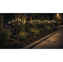 Solar-Gartenleuchten im Feuerwerk-Design mit warmweißen LED-Lampen in einem Gartenbeet neben einem gepflasterten Gartenweg.