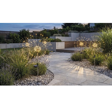 Solar-Gartenleuchten im Pusteblumen-Design mit Leuchtdioden entlang eines gepflasterten Weges in einem modern gestalteten Garten bei Dämmerung.