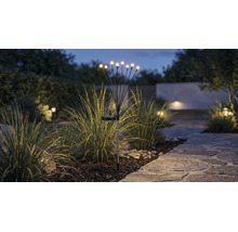 Solarleuchte mit mehreren LED-Lichtpunkten auf flexiblen Stäben in einem Gartenbeet neben einem Steinweg bei Dämmerung.