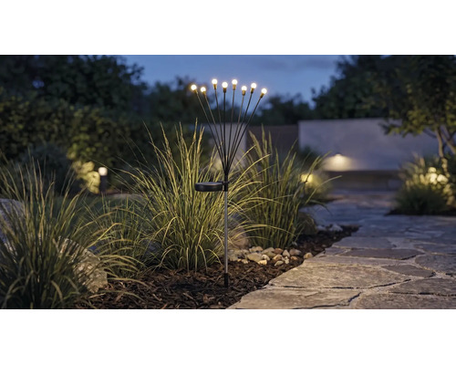 Solarleuchte mit mehreren LED-Lichtpunkten auf flexiblen Stäben in einem Gartenbeet neben einem Steinweg bei Dämmerung.