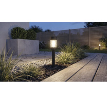 Solar-Gartenleuchte in einem Gartenbeet mit Rindenmulch neben einem Holzsteg und Steinweg bei Dämmerung.