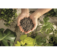 Deux mains tiennent un substrat minéral pour plantes au-dessus de diverses plantes d'intérieur vertes.